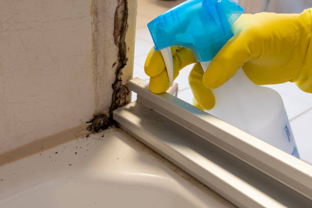 Best Crawl Space Mold Remediation in Dixon Lane Meadow Creek, CA