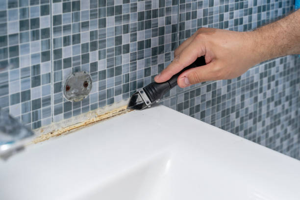 Best Residential Mold Remediation in Dixon Lane Meadow Creek, CA