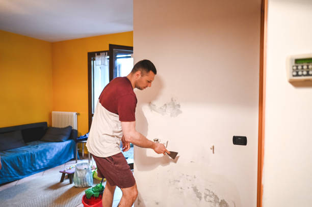 Professional Mold Remediation in Dixon Lane Meadow Creek, CA